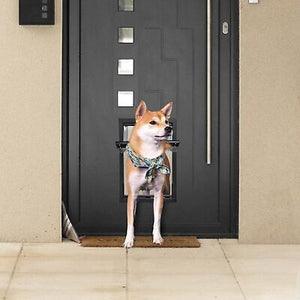 pet-door-dog-doggie-flap-mount-cat-entry-secure-lockable-large-frame-exterior-l-63.png