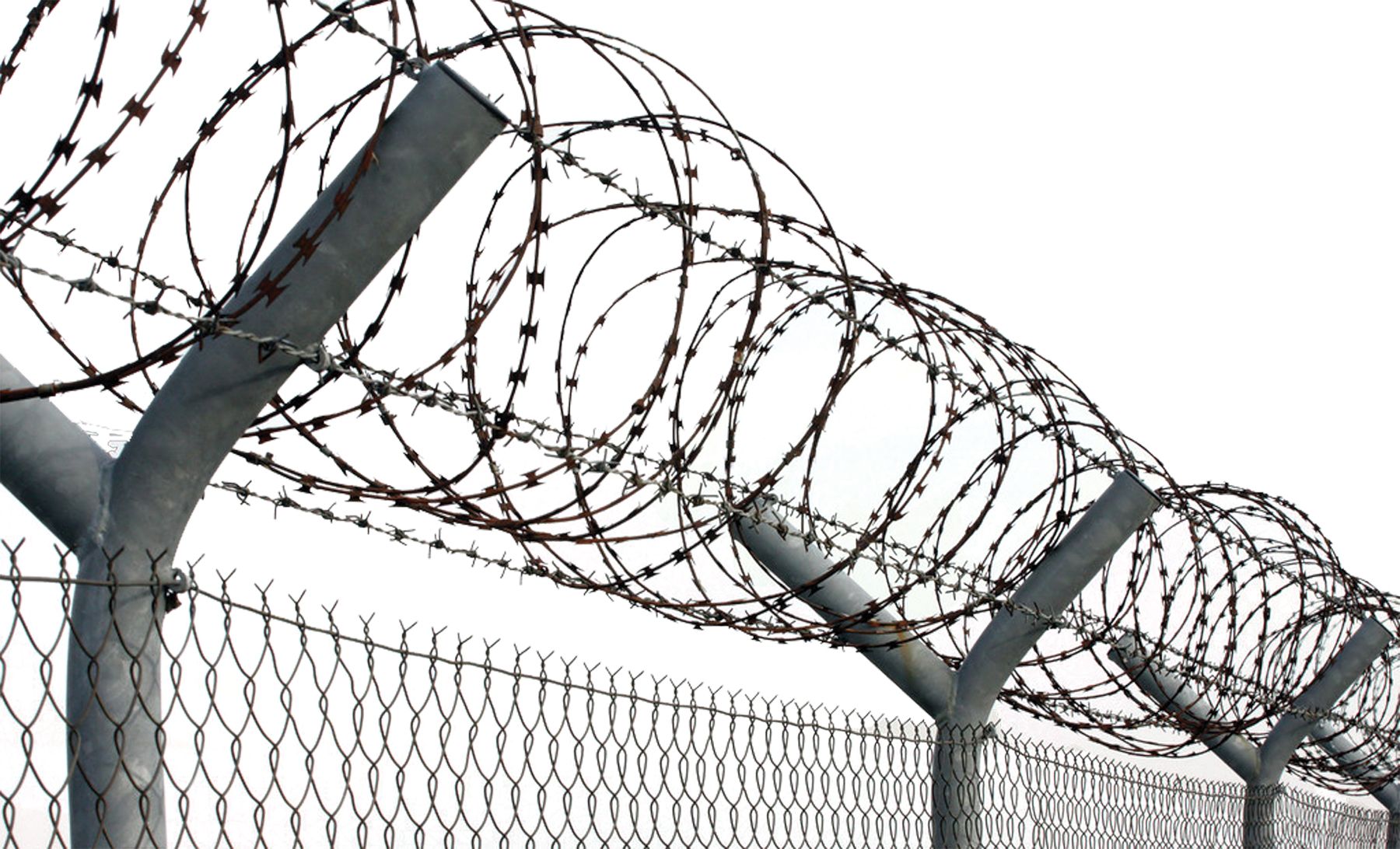 razor-wire-costume-18.png