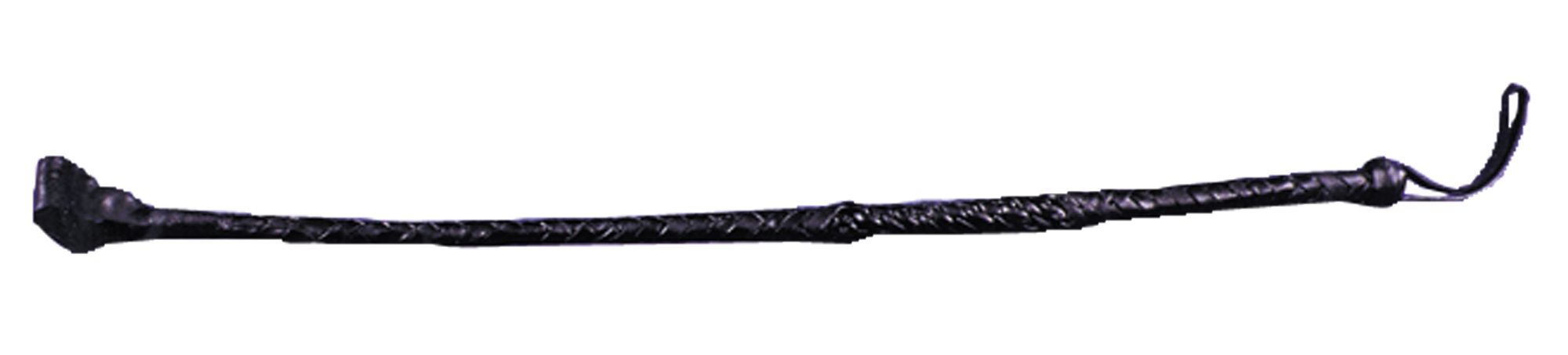riding-crop-44.png