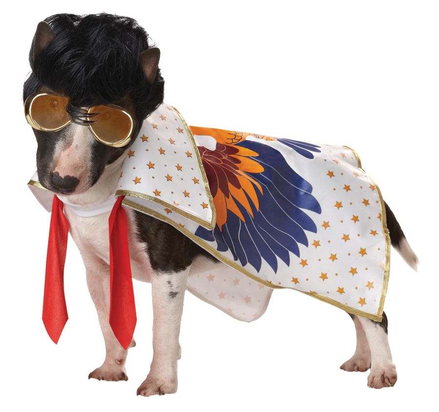 rock-n-roll-king-pet-sm-35.png