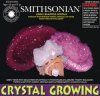 smithsonian-crystal-growing-geodes-kit-51.png