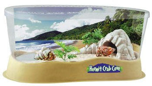 tabletop-hermit-crab-cove-beach-kit-w-crabs-52.png