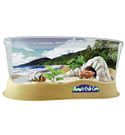 tabletop-hermit-crab-cove-beach-kit-w-crabs-56.png