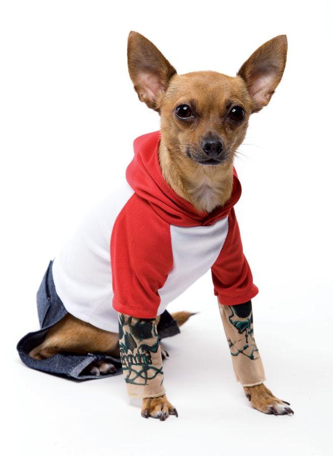 tattoo-dog-dog-costume-med-32.png