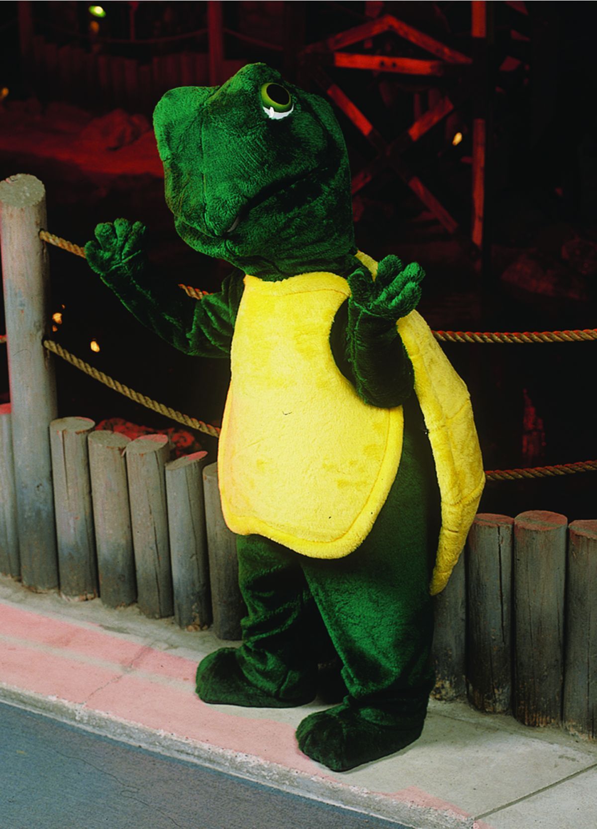 turtle-mascot-as-pictured-52.png