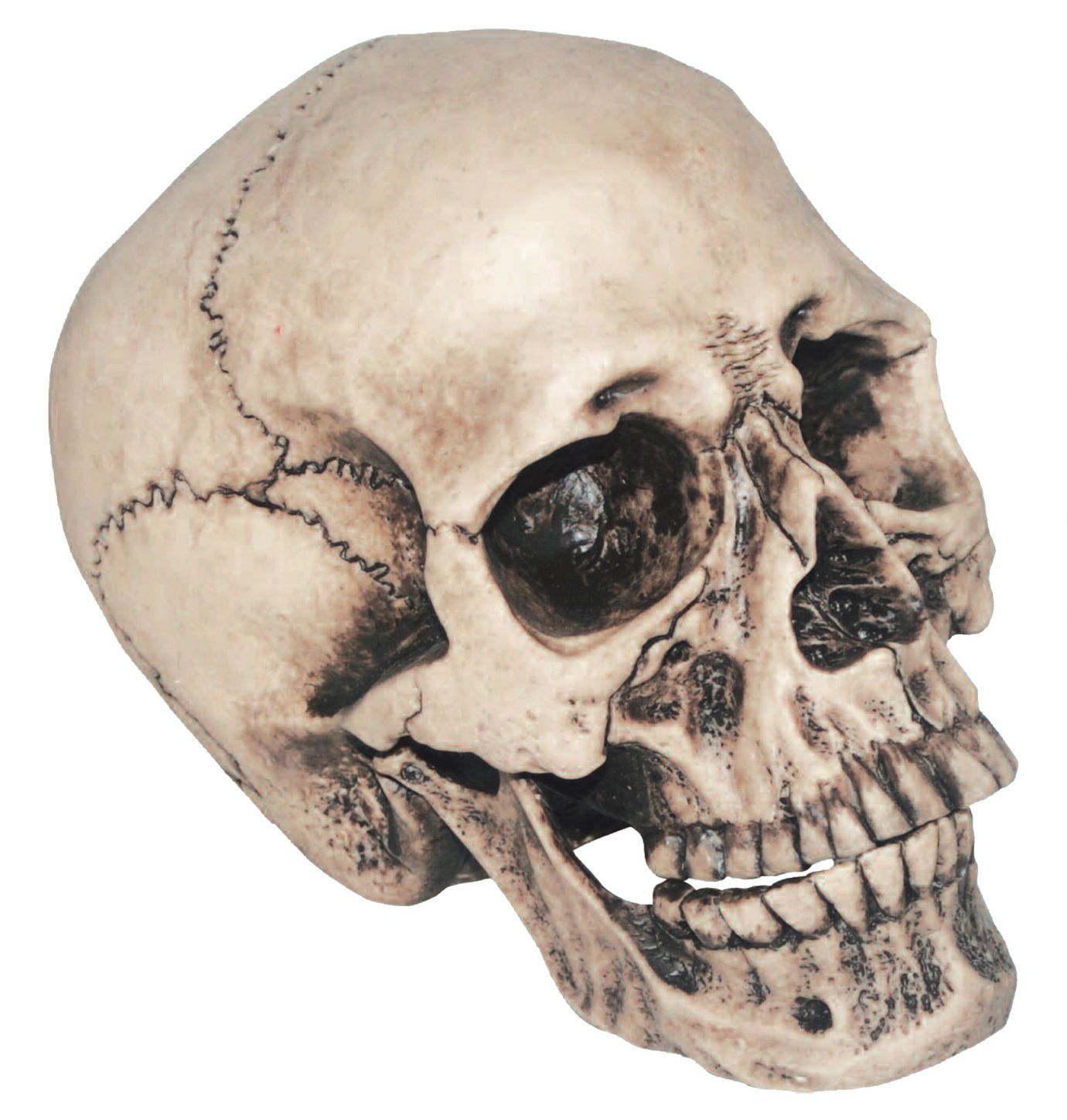 vinyl-skull-7-inches-costume-30.png