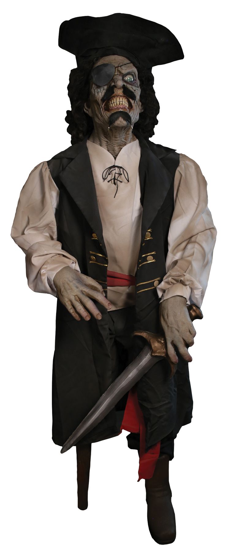 walk-the-plank-frank-animated-costume-20.png
