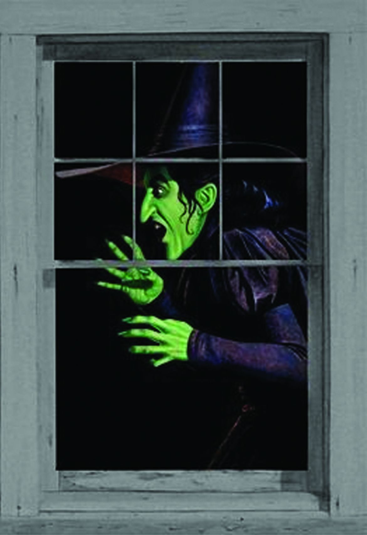 window-poster-wicked-witch-costume-32.png