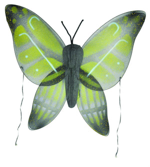wings-child-buttrfly-yw-grn-50.png