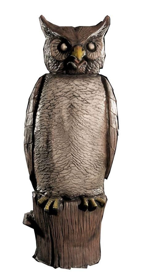 wise-owl-special-order-33.png