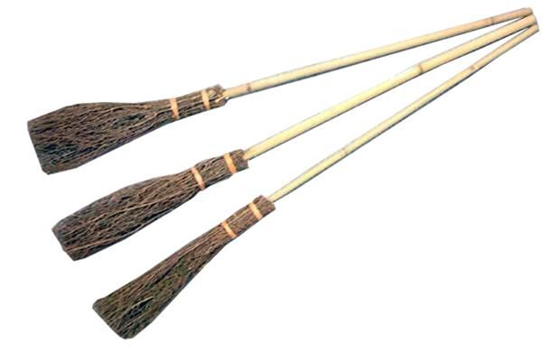 witch-broom-single-35.png