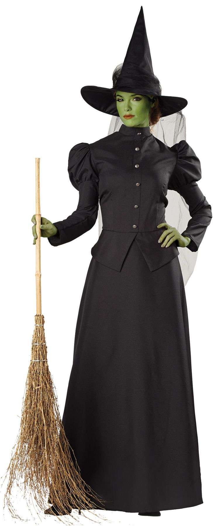 witch-classic-deluxe-adult-lg-costume-20.png