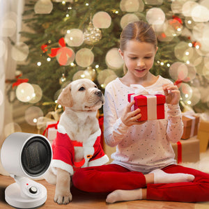 06fan004-1500w-07-k.jpg