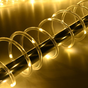 07clt002-12m-8_204.jpg