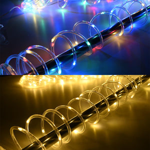 07clt002-12m-yesv.jpg