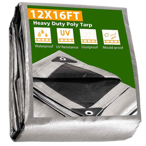 07ptr001-12x16-11.v1_01b.jpg
