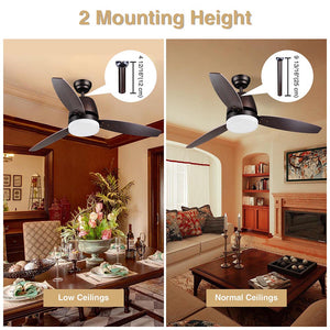 11cfl003-52in225.v1_a206.jpg