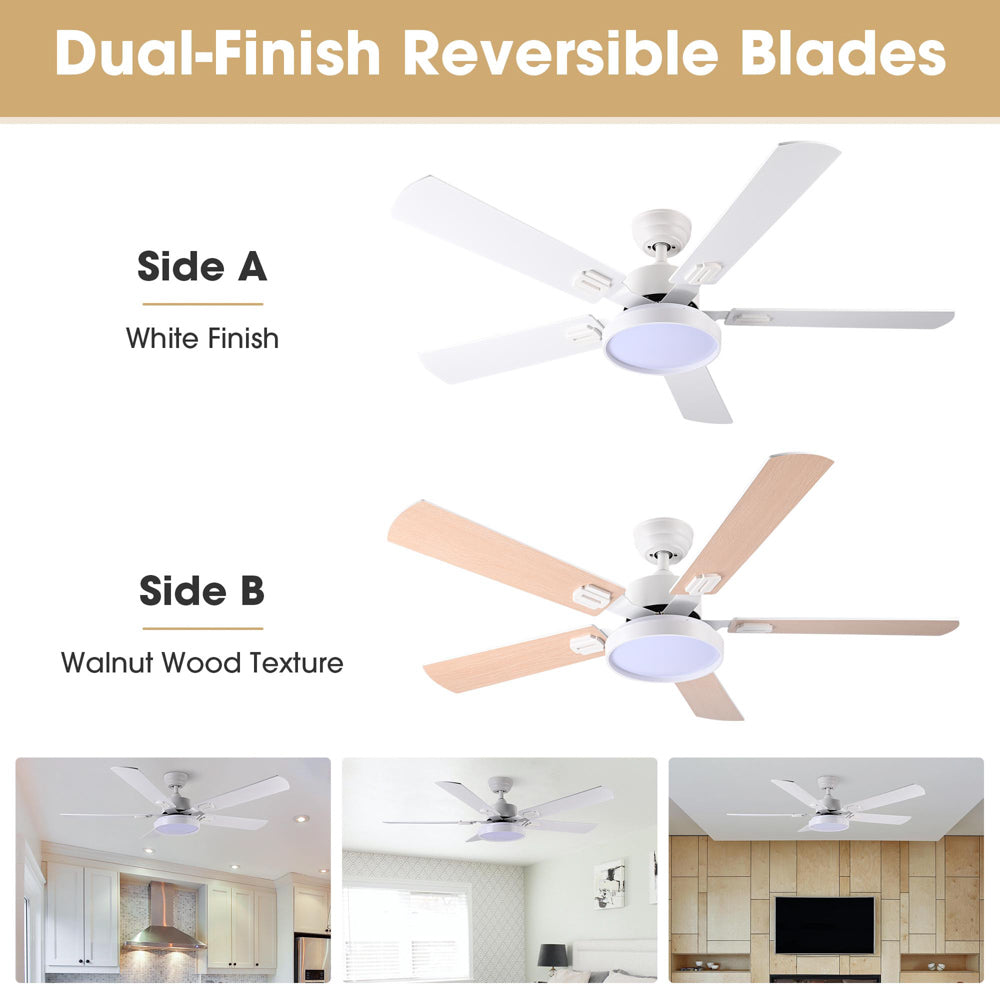 11cfl013-5blade-07_wa201.jpg