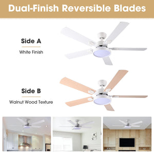 11cfl013-5blade-07_wa201.jpg