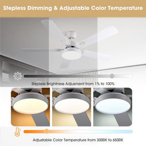 11cfl013-5blade-07_wa202a.jpg