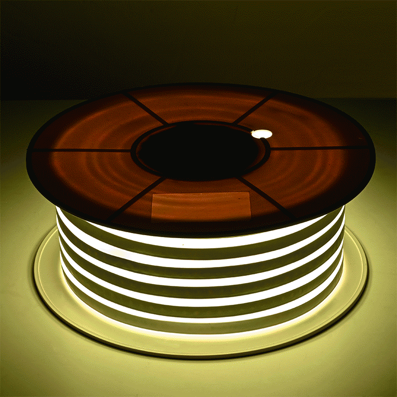 11dsl003-n100f-rgb.v1_w411.gif