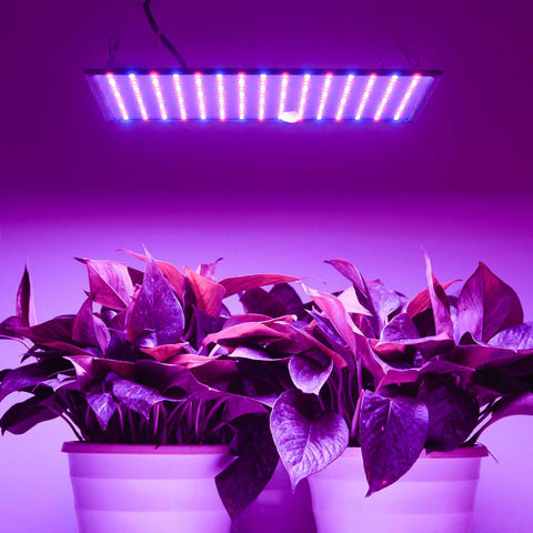 225 Ultrathin Blue Red Lamp LED Plant Grow Light Panel