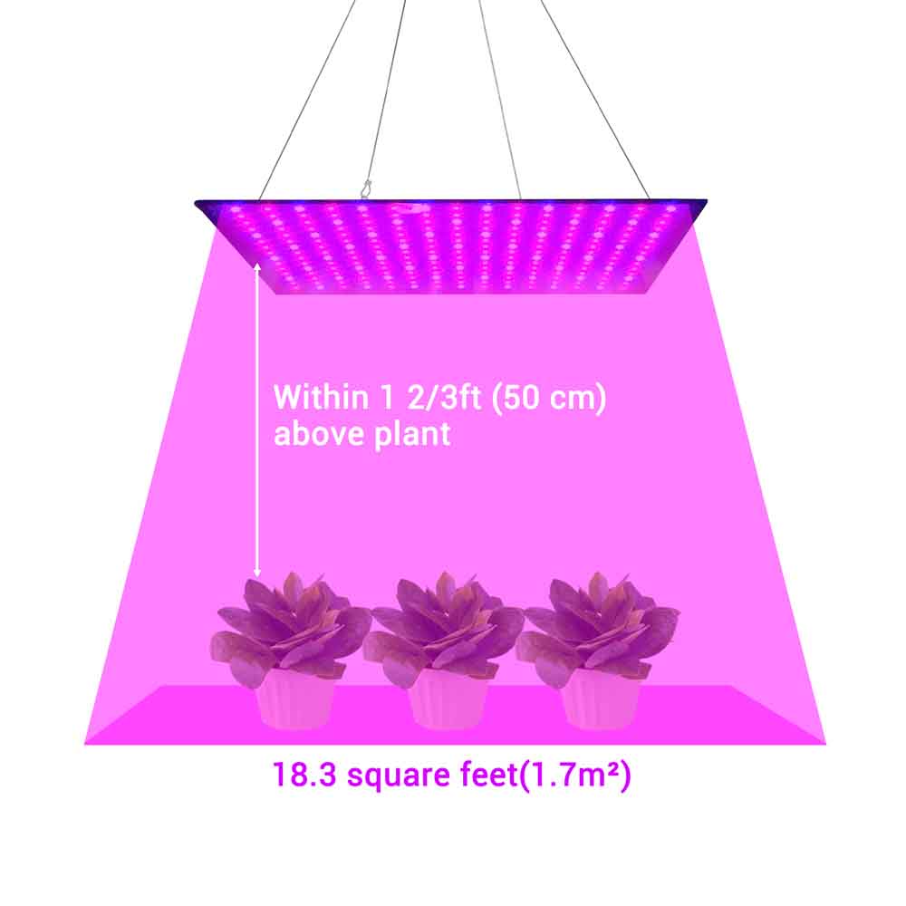 11grl009-225t-br_a03.jpg