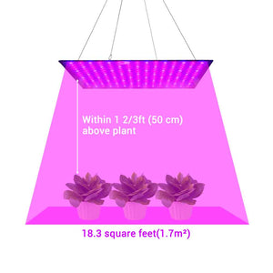 11grl009-225t-br_a03.jpg