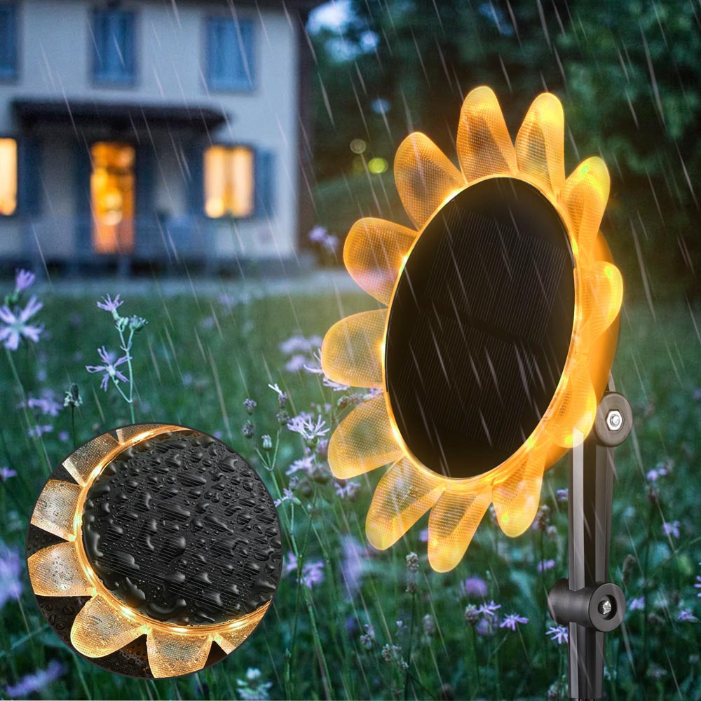 11sgl002-sunflower_202.jpg