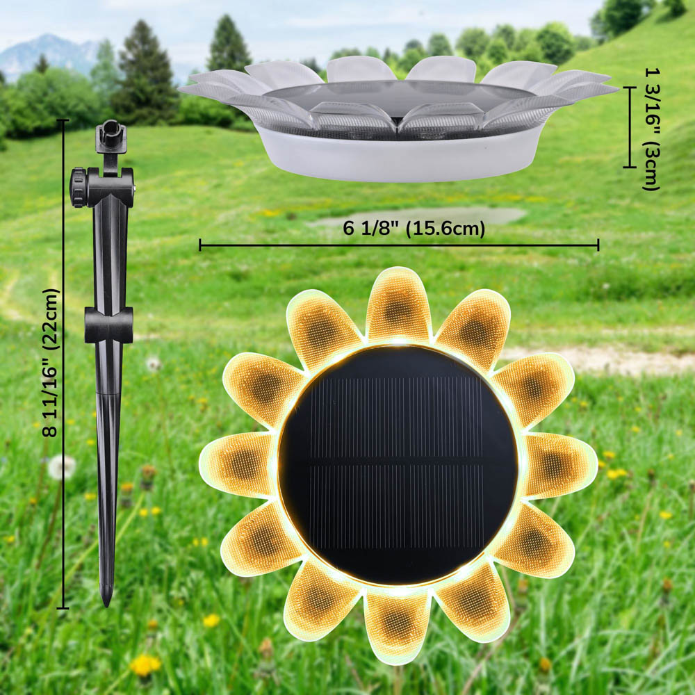 11sgl002-sunflower_301.jpg