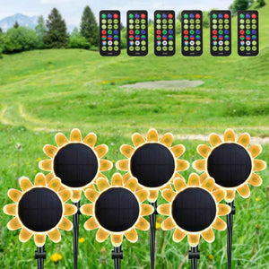 11sgl002-sunflowerx6_104.jpg