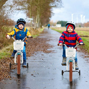 12 Inch Adjustable Kids Bike with Removable Basket for Ages 3-4 Years Trend Times 2