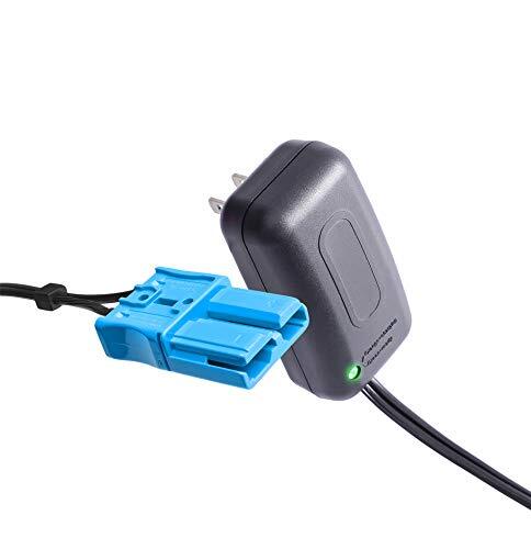 12 Volt Battery Charger for Kids Trax Ride-On Car with Large Capacity Trend Times 2