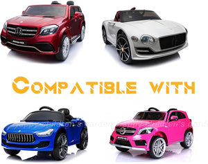 12 Volt Ride-On Toy Charger with LED Indicator Compatible with Major Brands Trend Times 10