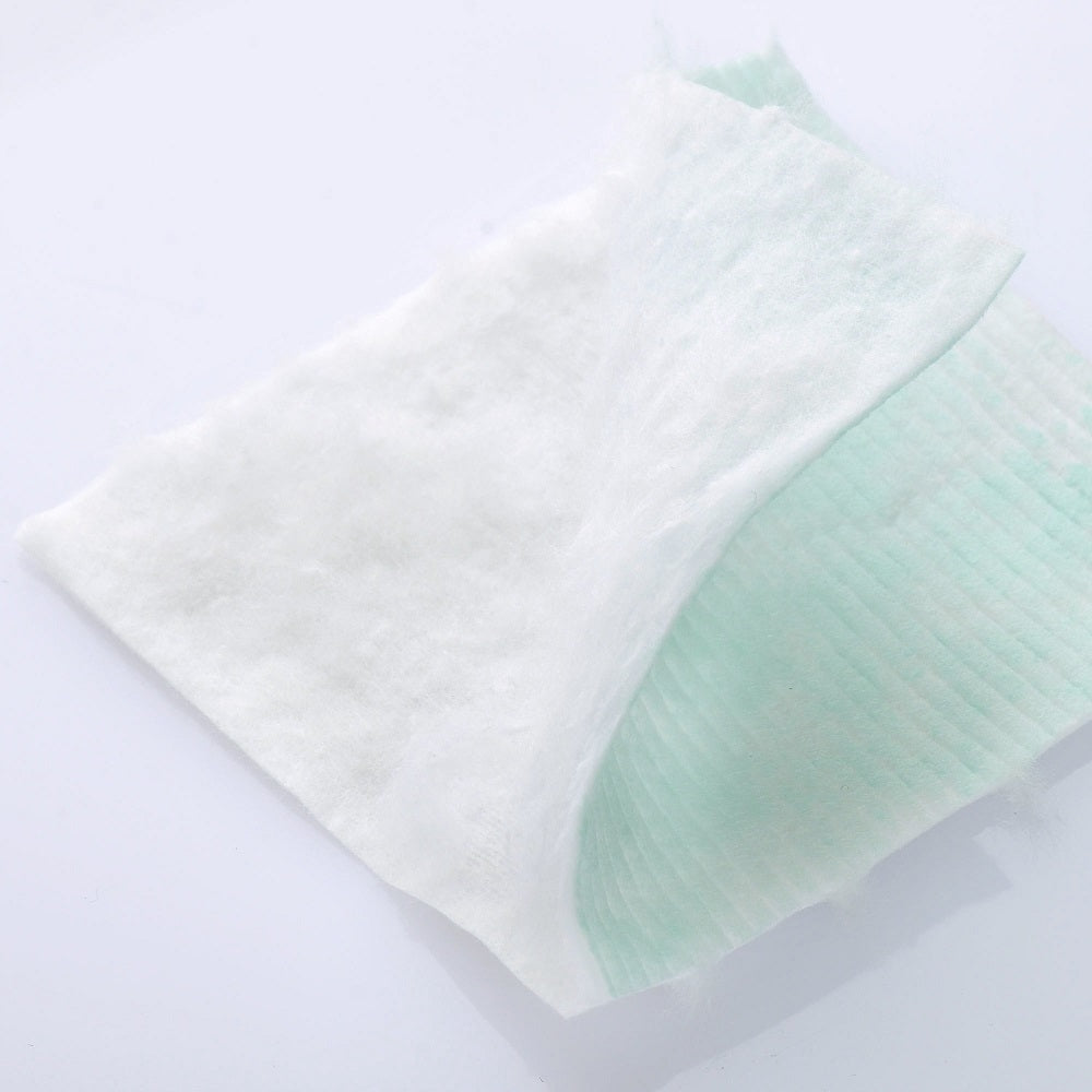 12ctp002-ma-aloe_06a.jpg