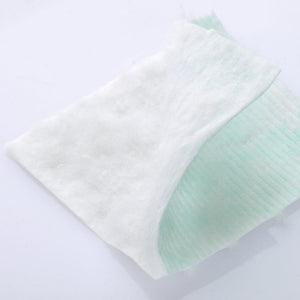 12ctp002-ma-aloe_06a.jpg
