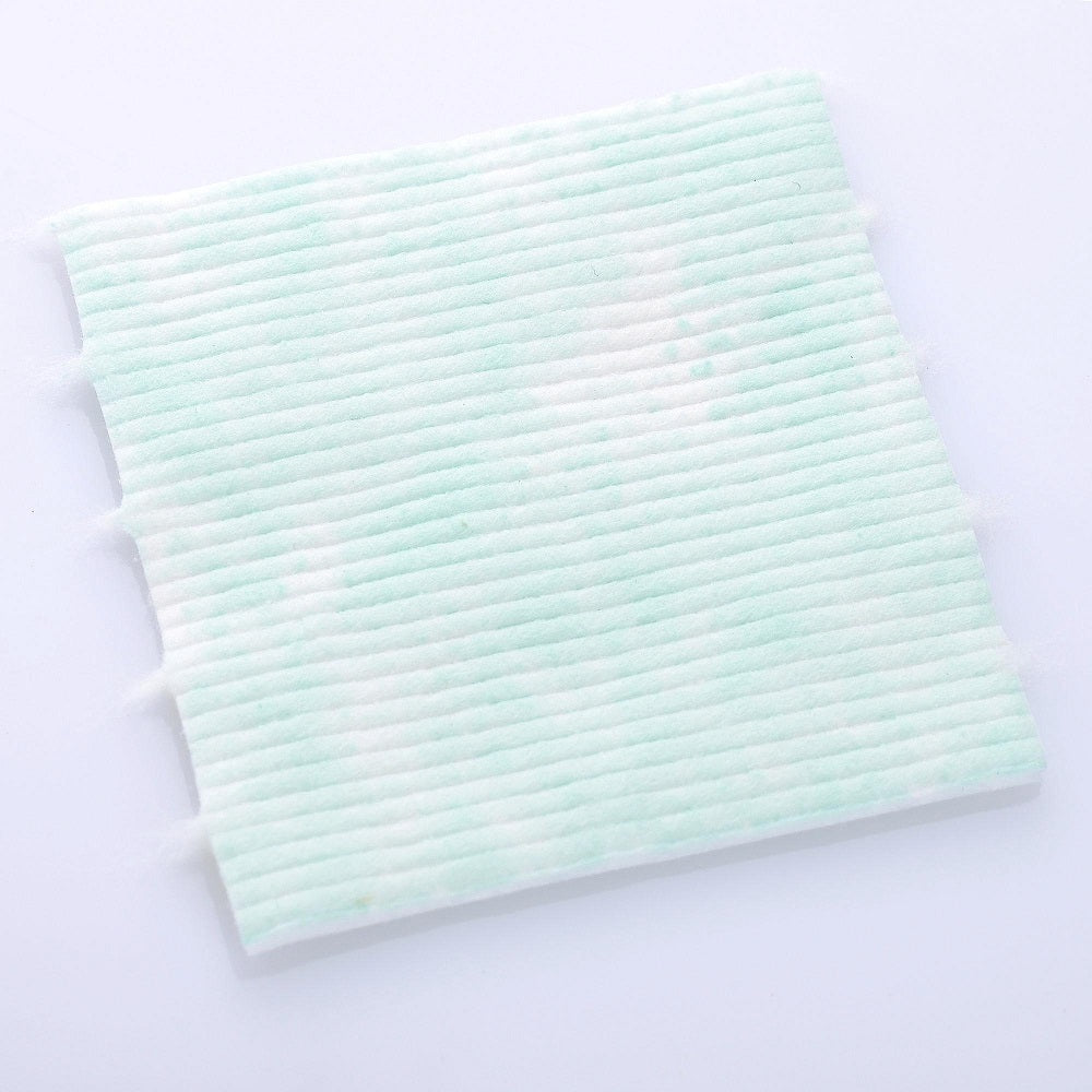 12ctp002-ma-aloe_07a.jpg