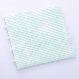 12ctp002-ma-aloe_07a.jpg