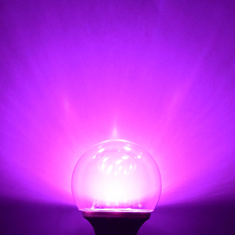 12mkc045-bulb-05-f.jpg