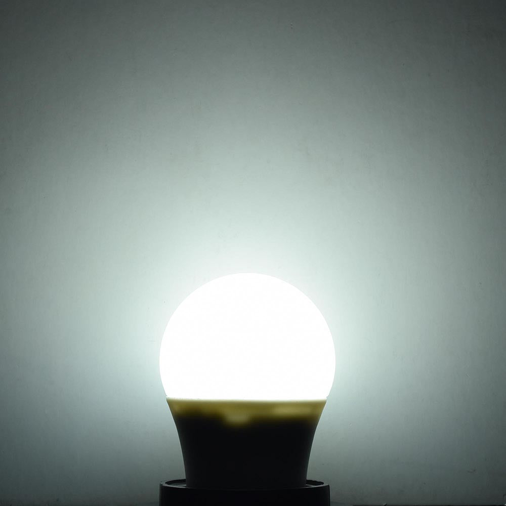 12mkc045-bulb-cold_06.jpg
