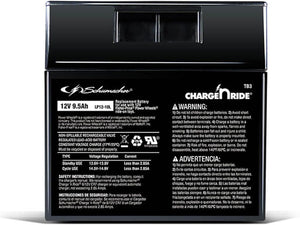12V 9.5Ah Rechargeable Battery with Replaceable Fuse for Ride-On Toys TB3 Trend Times Variant 0