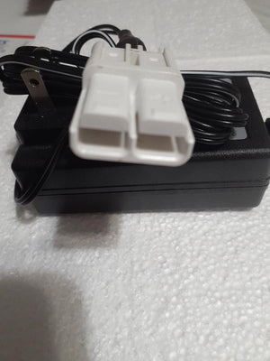 12V Charger with Music Connector and 1" Wide Plug for Kids Ride-On Cars Trend Times Variant 0