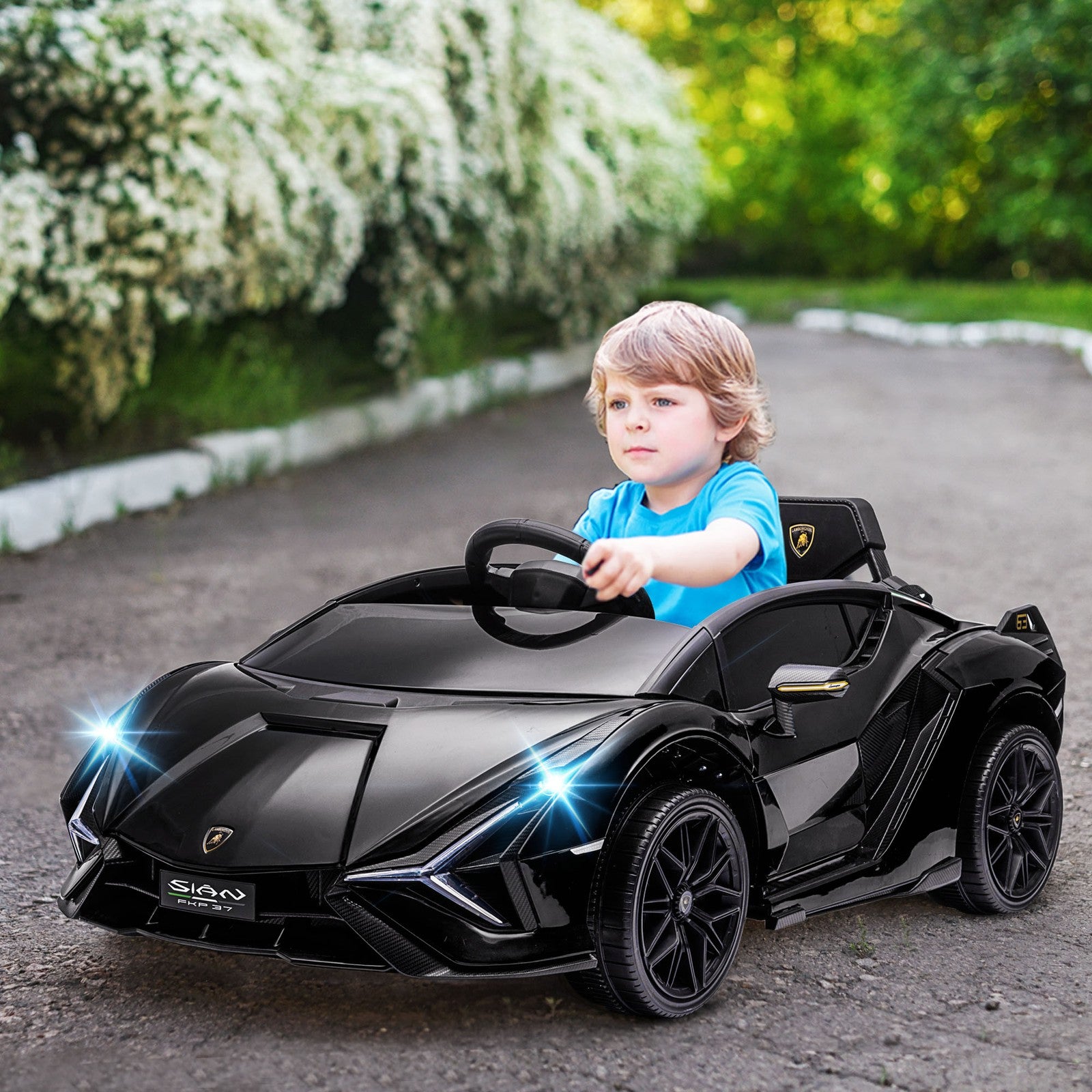 12V Licensed Lamborghini Sian Electric Ride-On Car for Kids in Black Trend Times 8