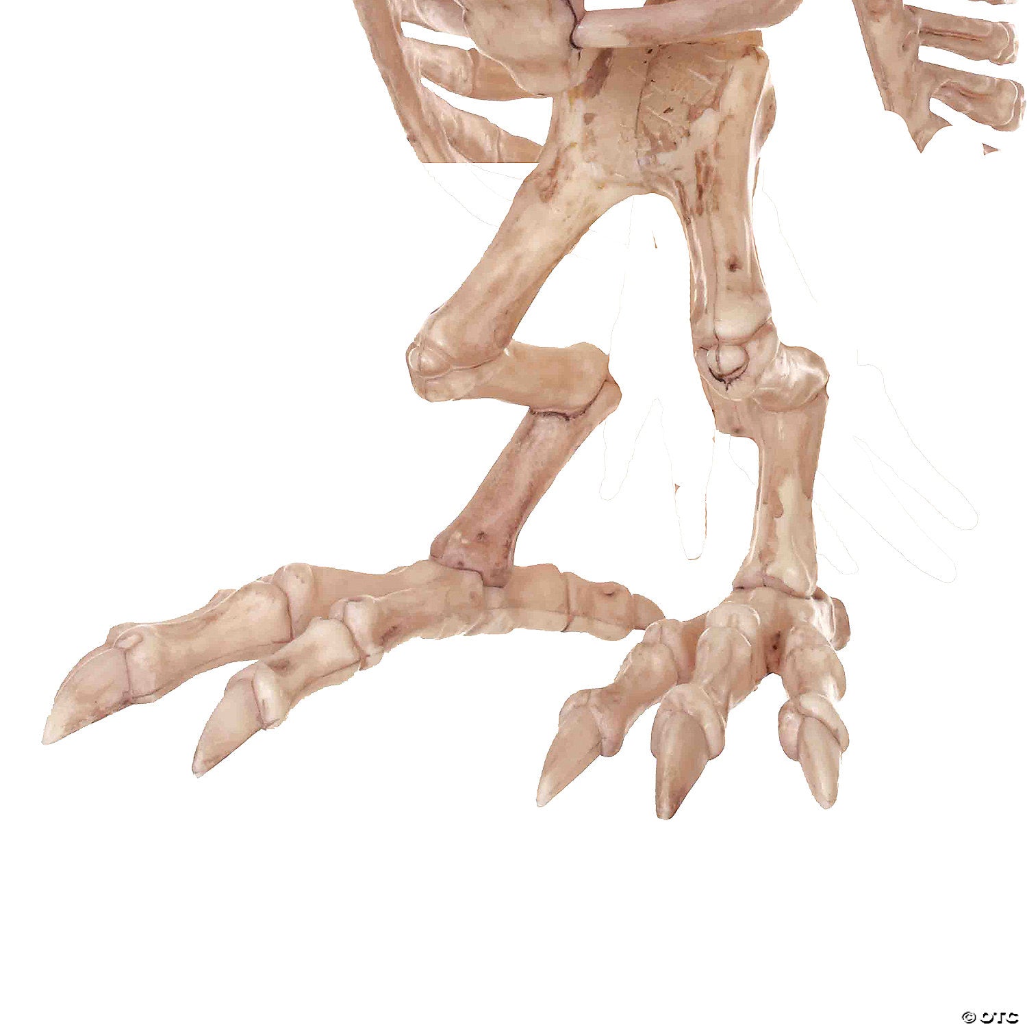 13.5" Owl Skeleton Decoration - Trend Times Toy Stores