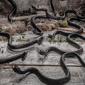 16" Bag of Black Plastic Snakes Halloween Decoration - Trend Times Toy Stores