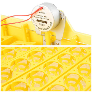 17cei002-56th-80w.v2_e.jpg