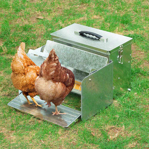 Poultry Chicken Auto Feeder Self Opening Feeding Troughs