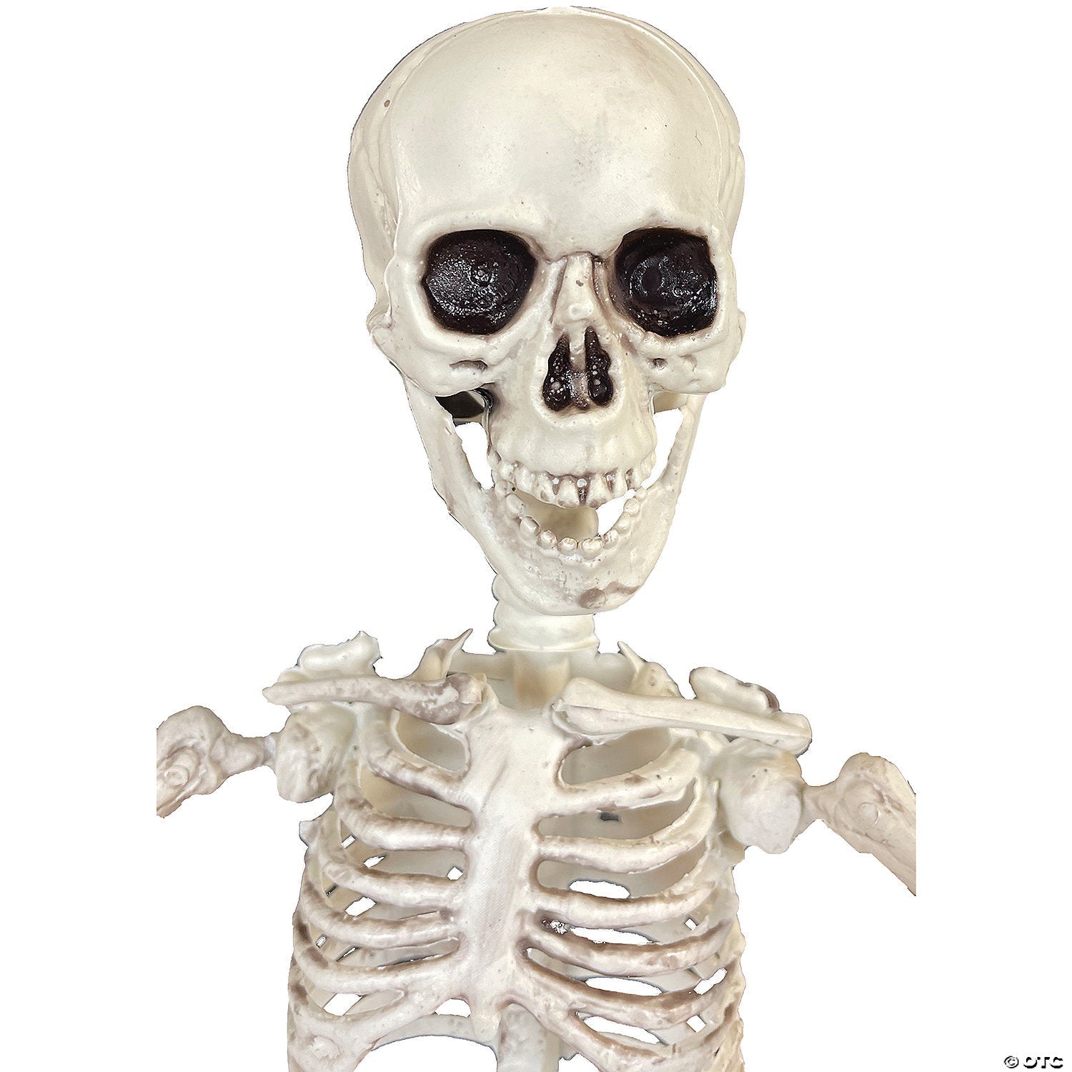 19" Poseable Skeleton Decoration - Trend Times Toy Stores