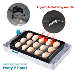 20-egg-automatic-incubator-digital-poultry-hatcher-temperature-humidity-led-lamp-71.png