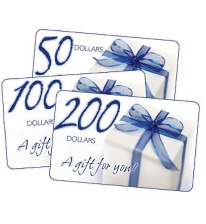 $200 Toy Store Gift Certificate